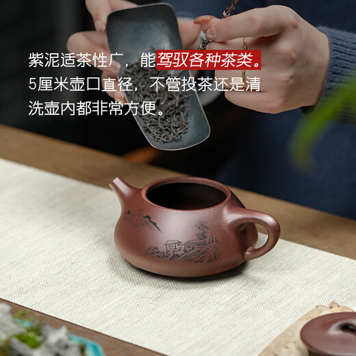Guyuetang Yixing Purple Clay Pot Purely Handmade Famous Household Purple Clay Engraved Stone Scoop Teapot Tea Set Engraved Style-Single Pot 240ml