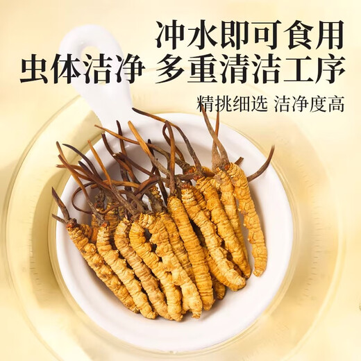 冬虫夏草藏区雪域高海拔虫草自用实惠高海拔虫草头期优质干草 3根/克(每单为1根)