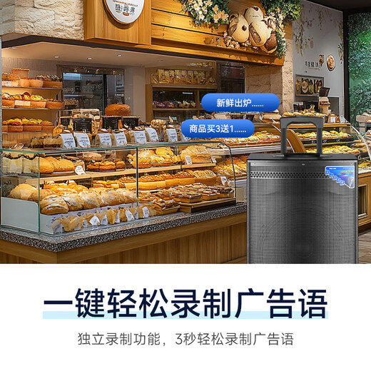 Xianke Outdoor Audio Stage High Power Super Large Volume Heavy Bass Mobile Professional Speaker Wireless Bluetooth Stall Meeting Special Portable Square Dance Speaker Hot Selling - With Horn Upgraded Horn + 12-inch Bass