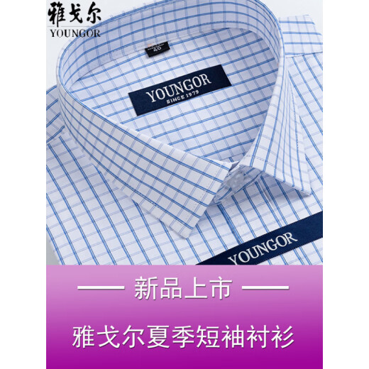 CEO雅戈尔男士短袖衬衫夏季棉免烫中年休闲商务职业正装格子衬衣服 短袖DX6629 43
