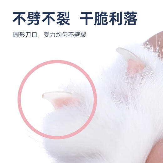 Crazy owner cat nail scissors LED round hole scissors for beginners special pet nail clippers without blind cutting kitten nail scissors pink