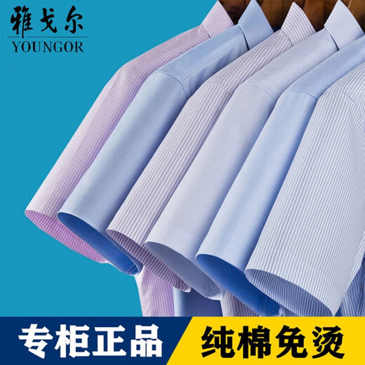 MAYOR雅戈尔特价清仓男士短袖衬衫商务休闲职业正装纯·棉免烫纯色白衬 DX6623 浅蓝色 38 码