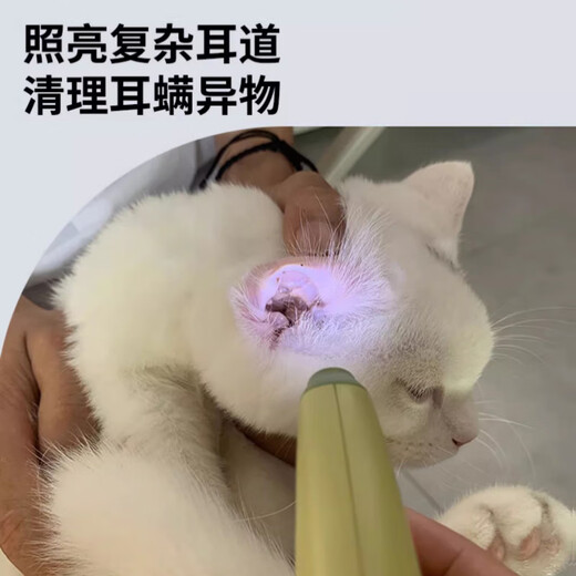 HELLOJOY cat nail scissors, cat nail clippers, cat claw scissors, pet dog nail clippers, dog anti-cut blood line special artifact