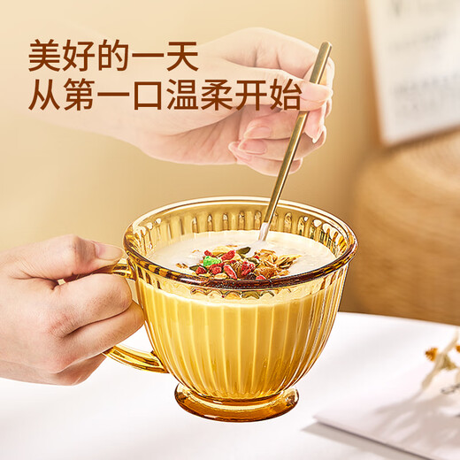 Corning (VISIONS) Amber Breakfast Cup Glass Oat Milk Cup Household Covered Spoon Coffee Cup 2 Cups 2 Covers 2 Spoons
