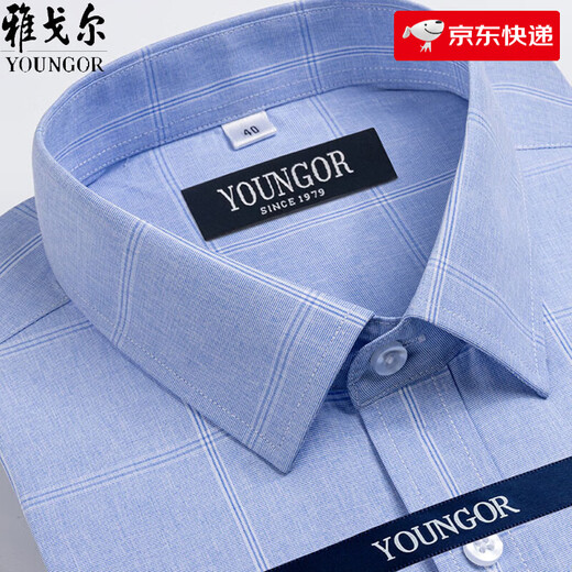 雅戈尔旗舰官方店短袖衬衫男士夏季中年休闲商务免烫格子职业衬衣服 短袖DX6636 45 建议【210-230斤】