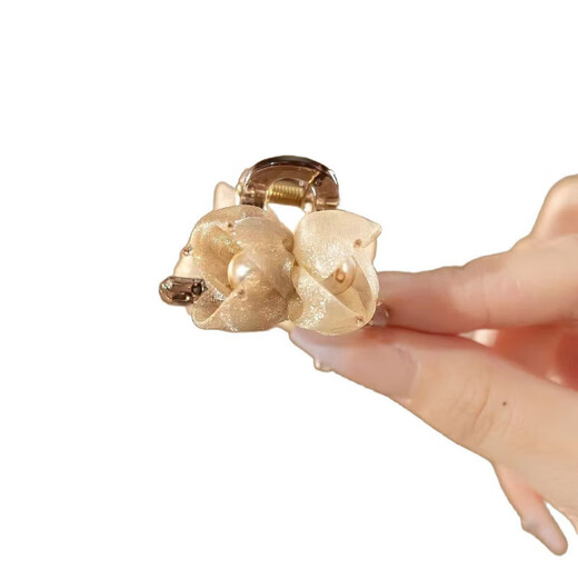 Grappling clip hairpin women's ponytail clip large hairpin ball hair accessories hair twister Korean style duckbill clip for the back of the head 1 coffee gold small gripping clip 4.5 cm