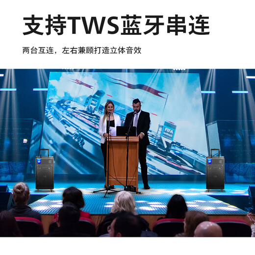 Philips (PHILIPS) 15-inch square dance audio outdoor stage high-power mobile portable trolley speaker wireless Bluetooth high-volume karaoke amplification with dual microphones SD170PLUS