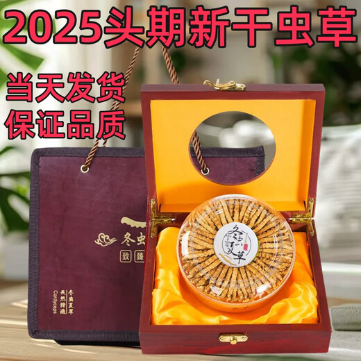 Cordyceps gift box 2025 first stubble new dried cordyceps authentic guaranteed to ship authentic Tibetan cordyceps on the same day. Tibet fine cordyceps 2 pieces 1 gram 30 pieces