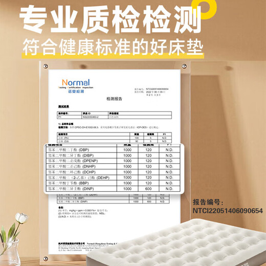 探险者（TAN XIAN ZHE）帐篷户外露营防雨过夜3人-4人带气垫5-8人超大六角帐篷装备全套 3-5人户外露营过夜+全自动充气床