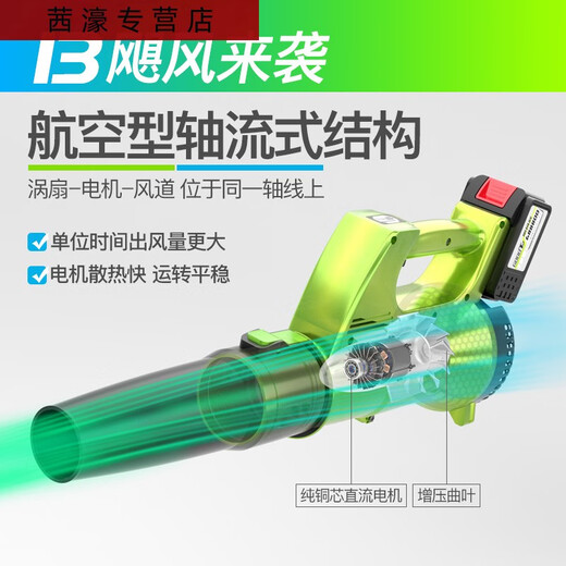 三栖虎充电鼓风机大功率220v吹灰机吹风清灰工业车载树叶吹雪电动吹尘枪 CT-暴风吹3888TV2电1充-烈风款