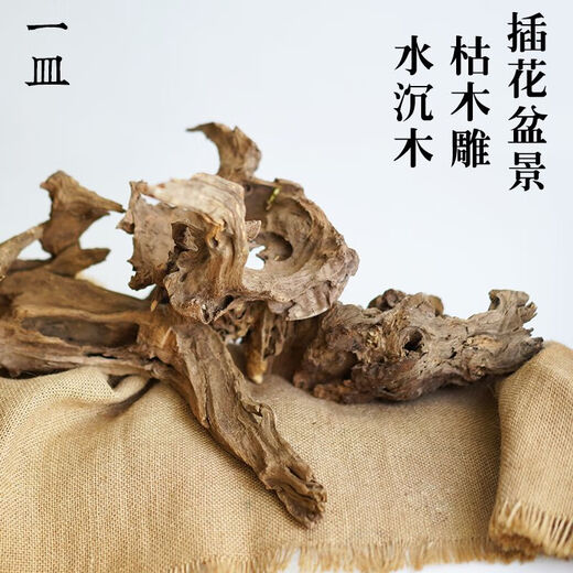 三栖虎天然风化枯木木雕根雕微景观造景插花木头禅意树根摆件花艺水沉木 藏青色 6173号木雕长约23cm