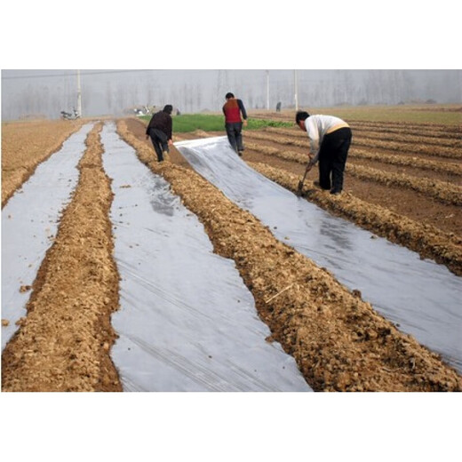 Yixiang white plastic film transparent thickened greenhouse film breeding film plastic cloth plastic paper agricultural film whole roll drip-free film thick 8 wires wide 10 meters * 120 meters long