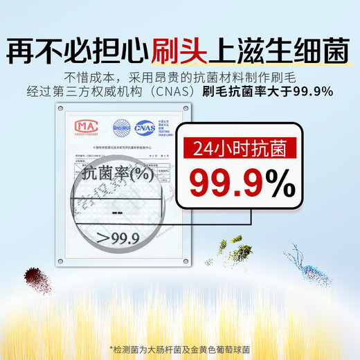 CCOKIO Japanese wide-head 65-bundle soft-bristled toothbrush for adults, men and women, genuine large brush head, home decoration set