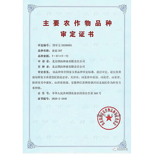 Fruit corn seeds super sweet fresh edible big stick without residue Beijing Sihai Seed Industry Golden Crown 597 corn seed original Golden Crown 597 fruit corn 100g X2