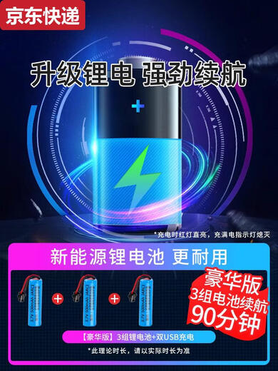 Pickup Cat Remote Control Car Charging Version Wireless Racing Driftable Fan Small Electric Toy Car for Boys 3 and 4 Years Old Bugatti Blue with LE Lights - 3 Sets of Lithium Batteries