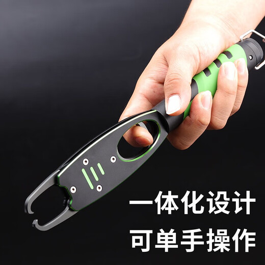 自上铝合金控鱼器带秤夹鱼器抓鱼路亚加长海钓钳子渔具钓鲢鳙锁鱼称鱼 级版绿色