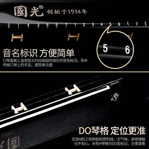 Guoguang harmonica 28-hole accent advanced performance German imported gong polyphonic C-tune beginner instrument 28-hole polyphonic silver + learning materials [with phonetic symbol