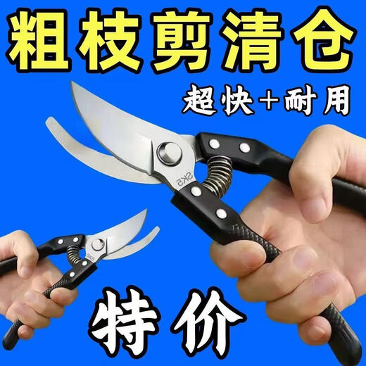 German craftsmanship imported steel branch shears, tree shears, fruit tree shears, pruning scissors for household flowers, trees and grapes to prune branches. Manufacturer provides welfare/loss impulse/not the main model. High carbon steel large shears. Extra sharp/100 times saving.