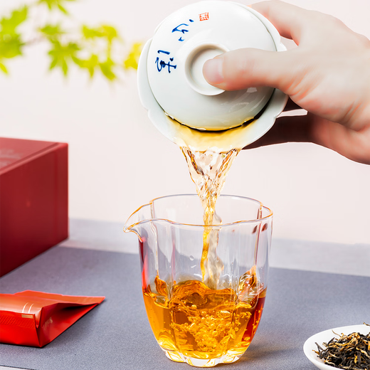 安立天一红茶茶叶茶包自饮 2025新茶自己喝 袋泡茶小包袋试饮装试喝试用 特级红茶试饮装4.5g