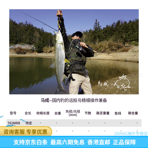 Daiwa Zillion Zilong Luya-Stange Langzeitwettbewerbsbleib