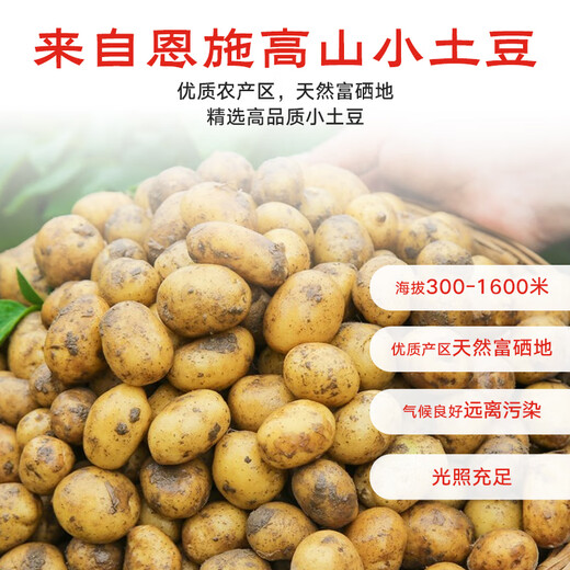Jingxiansheng Enshi small potatoes net weight 4.5Jin Jin equals 0.5kg Single fruit 30-100g Fresh yellow potatoes Straight from the source of potatoes