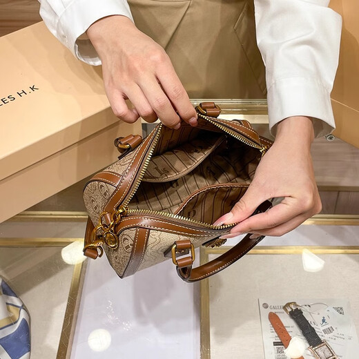 ESDS香港品牌包包女包小包斜挎包2025新款复古手提波士顿枕头包单肩包 米白色（专柜礼盒套装）