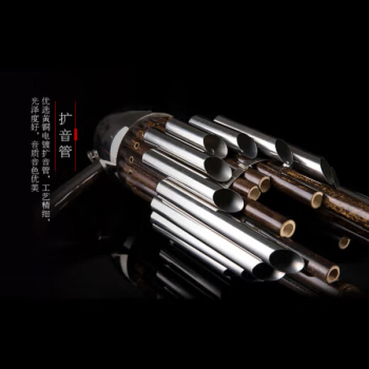 时笙笙乐器 紫竹圆笙17簧14簧扩音笙表演考级练习笙黄铜电镀笙管 芦笙全黑17簧笙(D调)