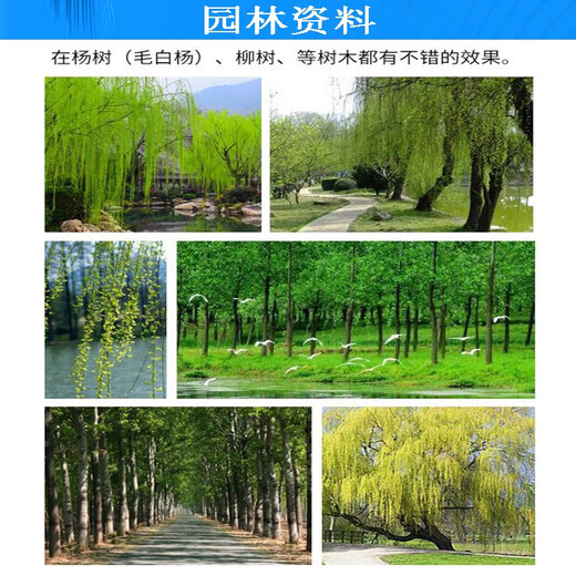 Taibang 4% gibberellic acid catkins and poplar catkins inhibitor eliminator willow and poplar catkins to prevent flowering and fruiting 10ml*100 pieces/box