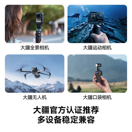 Lexar 256GB TF (MicroSD) memory card V30 4K read 205MB/s Drone action camera Pocket3 officially recommended memory card (SILVER PLUS)