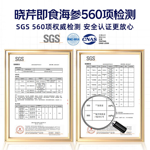 Xiaoqin Dalian frozen ready-to-eat sea cucumber 500g 10-14 pieces * 2 bags Liao sea cucumber seafood aquatic products non-gift box