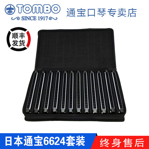 Tongbao Tongbao store entry-level performance teaching model 24-hole polyphonic harmonica 6624 set 8-tuning set CDEFGAB+#C-included YENGBOGE