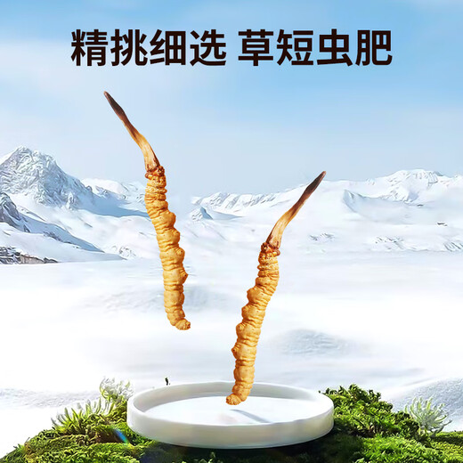 同芙 冬虫夏草3根/g 5g 15根礼盒装 滋补营养补品送长辈礼品礼物