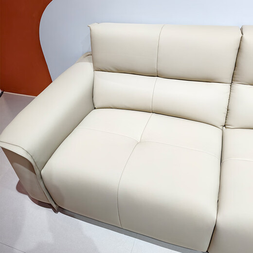 European sofa living room modern simple light luxury technology fabric sofa combination straight-row sofa size apartment for home use 9866#3.1 meters [ecological leather]