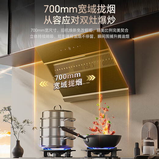 荣事达（Royalstar）抽油烟机侧吸式家用 20立方大风量油烟机换新700小尺寸高温自动清洗挥手智控CXW-320-C717A