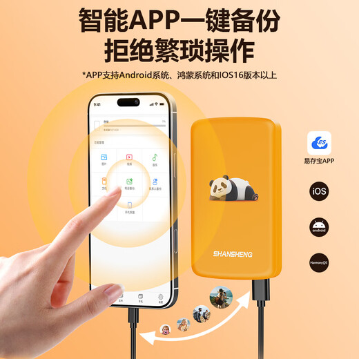 Flash 2T Mobile Festplatte 1 TB Apple 15/16 Mobiltelefon Direct Connect Mobile Festplatte 500 G Android Tablet Ein-Klick-Sicherung von Fotos und Videos 320 G Nicht-SSD 250 G P6 Smartphone Mobile Festplatte 250 GB