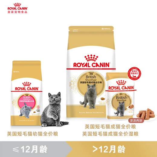 Royal Cat Food 10kg British Shorthair Cat Food Adult Cat Food Ragdoll American Shorthair Persian Tabby Blue Cat Special Full Price Cat Food General Food BS34 British Shorthair Adult Cat Food 2kg