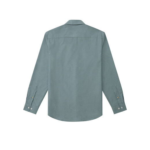 HAZZYS Herren Herbst Business Casual Herrenhemden Einfarbig Einfaches Langarmhemd Herren ASCZK1BCF10 Dunkelgrün DG L (175/96A 48)