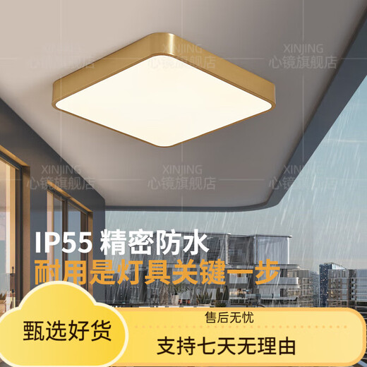 溥覃全铜户外吸顶灯别墅超薄入户门灯走廊过道阳台灯露台防蚊虫庭院灯 X3893-600*800/长方形