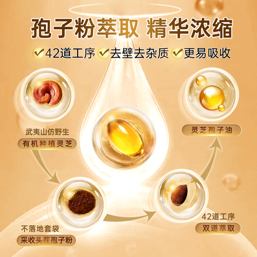 元生泰高三萜 灵芝孢子油软胶囊破壁灵芝孢子粉精华 中老年人保健品 