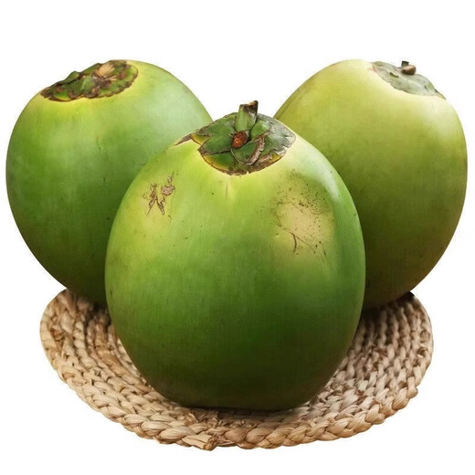 Hainan Wenchang Peeled Green Fresh Coconut Seasonal Fresh Whole Box Fruit Natural Coconut Water Origin Straight Hair 1 Pack Hainan Coconut with Skin