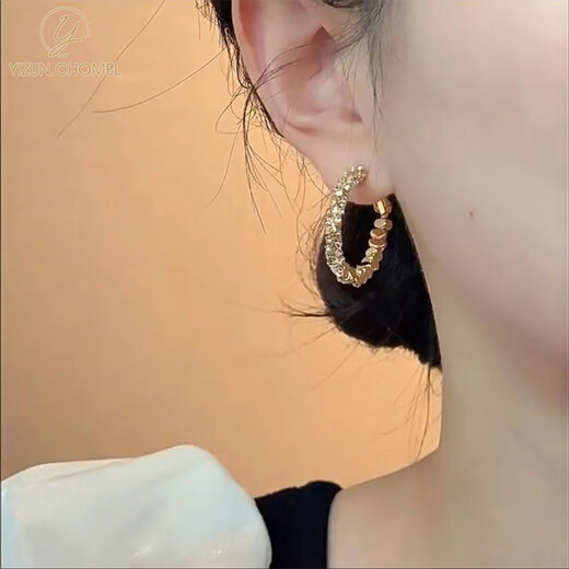 YIZUN. CHOMEL Broken Silver Zircon Earrings 2025 New Hot Style Niche Light Luxury High-end Earrings for Round Faces Temperament Earrings for Women Broken Silver Zircon Earrings Silver Needles