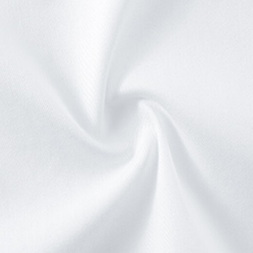 Woodpecker (TUCANO) long-sleeved shirt women's winter velvet anti-wrinkle non-iron shirt business casual formal top women's white XL