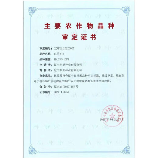 East Asia small steel gun Dongdan 1331 corn seed original first generation hybrid corn seed storage corn seed 2 bags/Dongdan 1331-about 6000 grains per bag