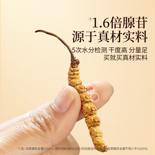 同仁堂品牌冬虫夏草约4根/g5g约20根年虫草礼盒高端送人父母北京同仁堂