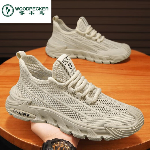 Zapatos de pájaros carpinteros zapatos para hombres Summer Nuevos zapatos de red huecos transpirables