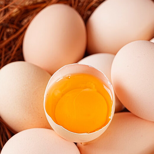 Farm-raised free-range mountain forest self-raised eggs, fresh eggs, grass eggs, grain-fed stupid eggs, native eggs 40g/piece, 10 pieces/box, net weight 400g Farm-raised free-range mountain forest self-raised eggs, fresh eggs, grass eggs, grain-fed stupid eggs, native eggs 40g/piece, 10 pieces/box, net weight 400g