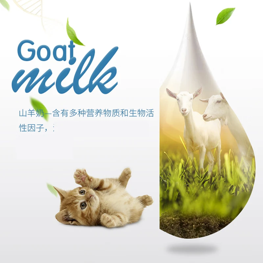 BOTH goat milk powder kitten milk powder anti-nasal branch lysine taurine formula goat milk powder 300g