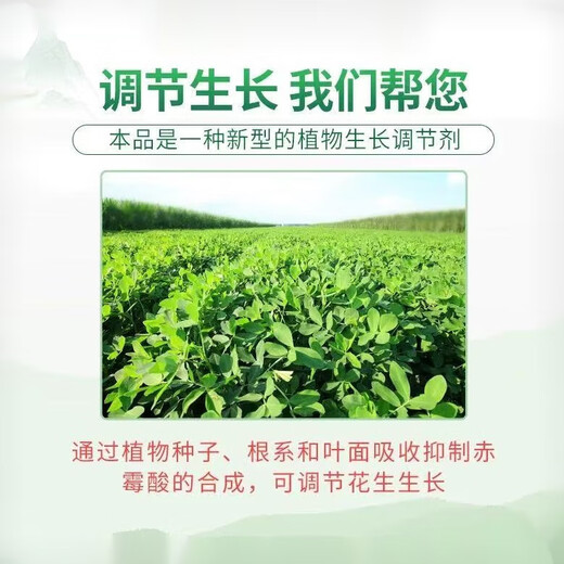 Bixian 10% prohexadienate calcium rice peanut control flourishing shoots, dwarfing and pressing seedlings, plant growth regulator pesticide 100g