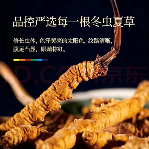 Cordyceps sinensis Cordyceps sinensis 2 grammes de cordyceps séchés dans les zones tibétaines 3 pièces / gramme (1 morceau par ordre)