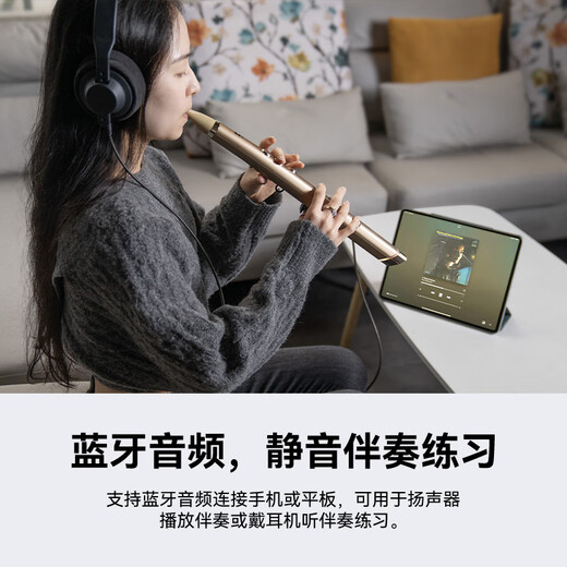 ROBKOO锣钹小小笛电吹管国产真采样萨克斯电笛子入门吹奏乐器初学者 黑金【真采样 50种音色】
